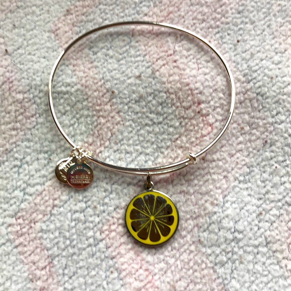Alex and Ani Zest for Life 2015 Silver Bracelet